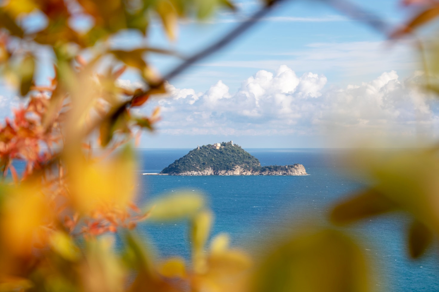 Cucina ligure: il cuore del gusto marino