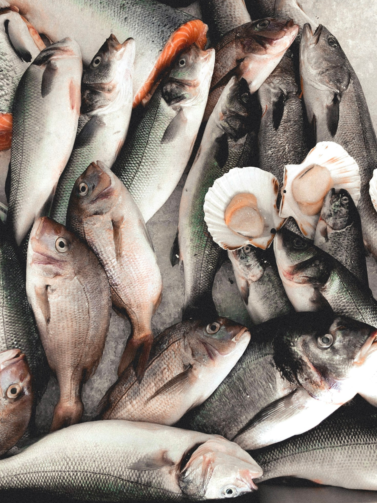 Ristoranti sul mare: esperienze culinarie uniche